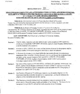 Icon of Resolution 2013-80