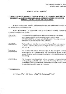 Icon of Resolution 2013-203