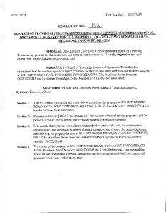 Icon of Resolution 2013-132