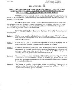 Icon of Resolution 2011-88
