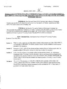 Icon of Resolution 2011-94