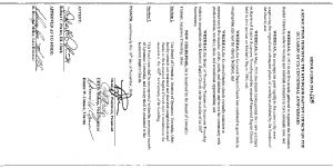 Icon of Resolution  2011-105