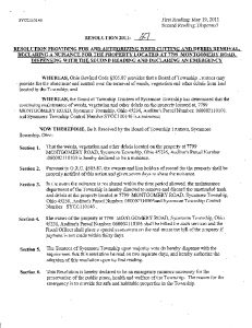 Icon of Resolution 2011-27