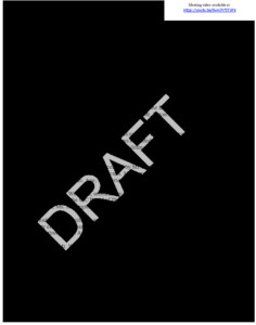 Icon of 06 21 2022 CIC Draft Document Packet