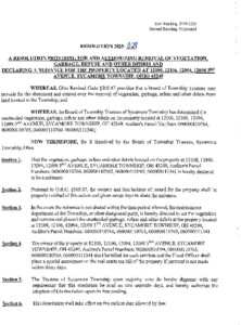 Icon of Resolution 2025-028