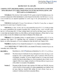 Icon of Resolution 2025-071