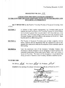 Icon of Resolution 2013-198