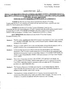 Icon of Resolution 2013-63