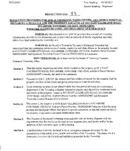 Icon of Resolution 2013-83