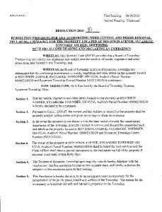 Icon of Resolution 2013-81
