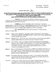 Icon of Resolution 2013-95