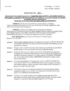 Icon of Resolution 2013-106