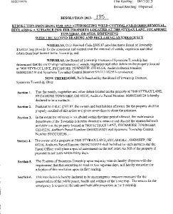 Icon of Resolution 2013-135