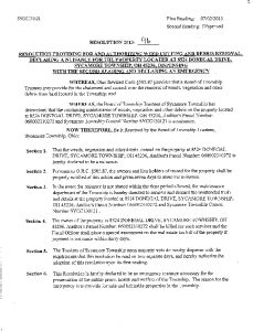Icon of Resolution 2013-96