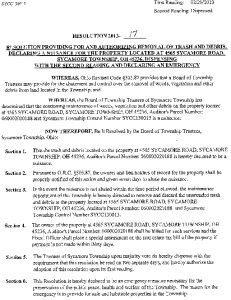 Icon of Resolution 2013-17