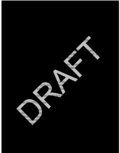 Icon of Draft JEDD Document Packet 06 07 2022