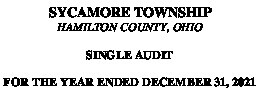 Icon of Sycamore Township 2021-2020 Audit