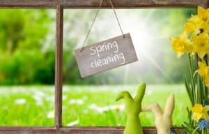 window green meadow spring cleaning