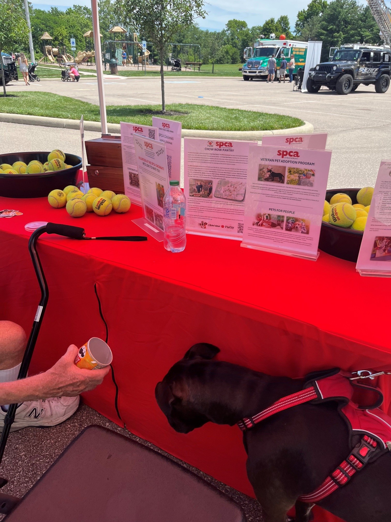 spca 2 SPCA booth